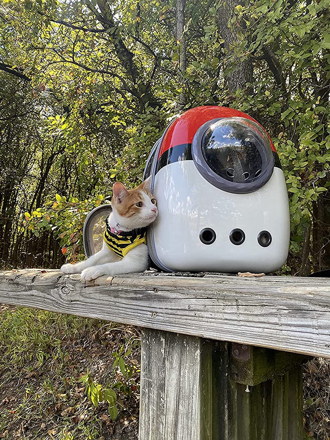 Expandable Cat Bubble Backpack Carrier, Space Capsule Astronaut Pet Travel Carrier for Small Dog, Pet Hiking Traveling Backpack